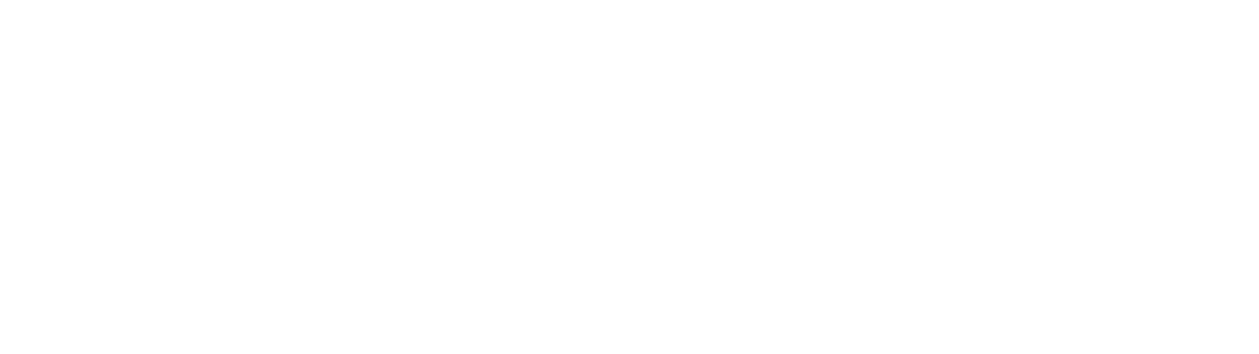 Turbotic Logo